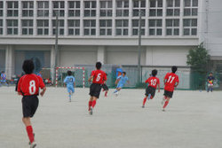 201304293[1].jpgのサムネール画像